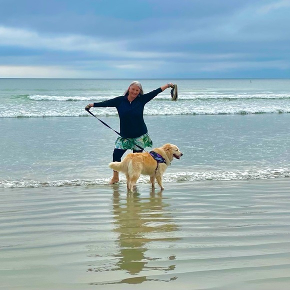 Meet your Posher, Donna - Picture 1 of 1